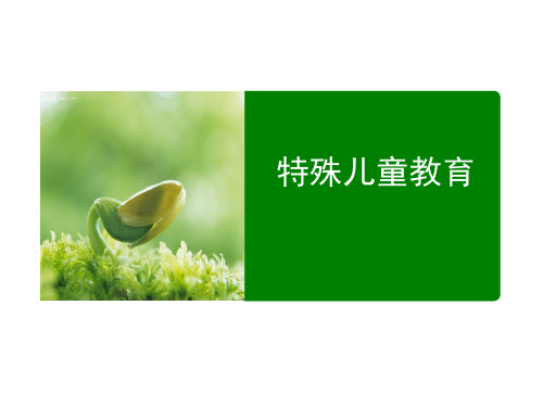 情绪与行为障碍儿童的身心特点(精)