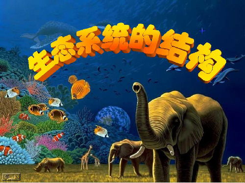 生态系统的结构PPT课件