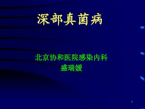 盛瑞媛-深部真菌