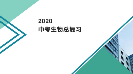 2020年中考生物总复习课件(共150张PPT)