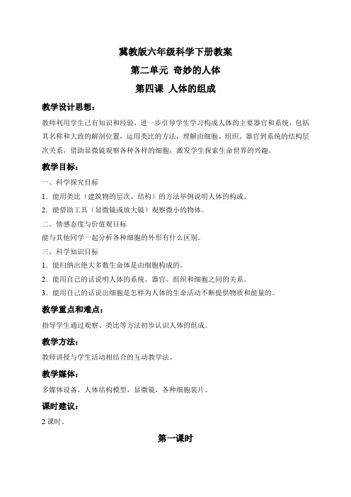 冀教小学科学六下册《4人体的组成》word教案 (5)