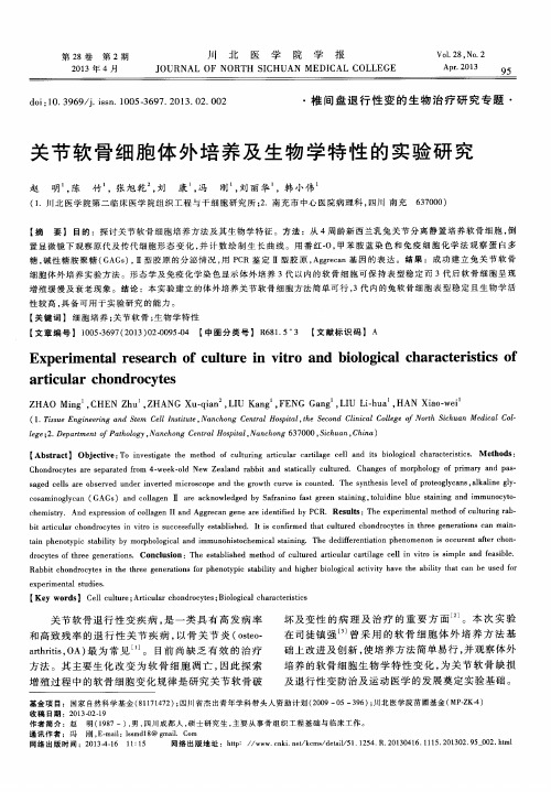 关节软骨细胞体外培养及生物学特性的实验研究