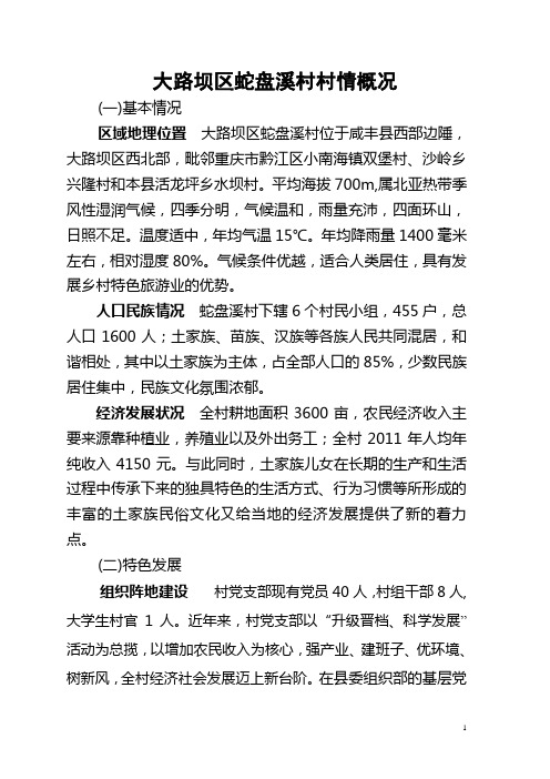 蛇盘溪村村情概况
