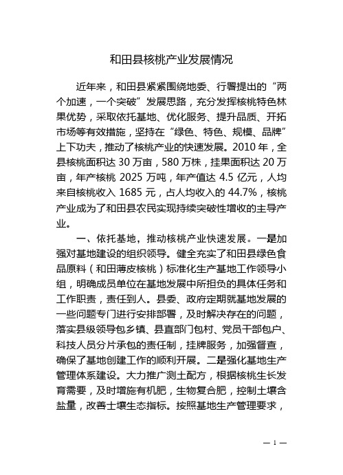 和田县核桃产业汇报