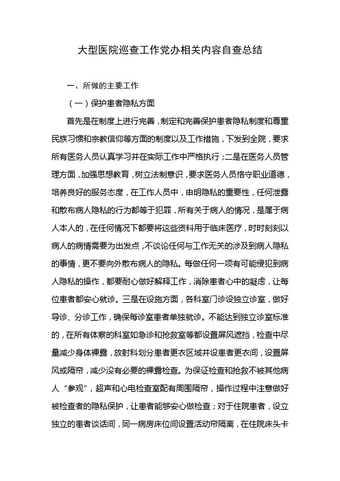 大型医院巡查工作党办相关内容自查总结