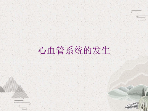 心血管系统的发生