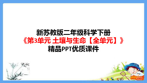 新苏教版二年级科学下册《第3单元土壤与生命(全单元)》精品PPT优质课件