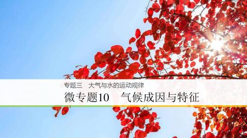 2018届高考地理大二轮复习浙江选考版课件：专题3 大气与水的运动规律 微专题10 气候成因与特征