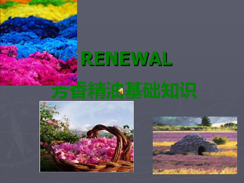 各色精油的作用及使用方法
