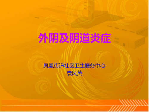 外阴及阴道炎症PPT课件