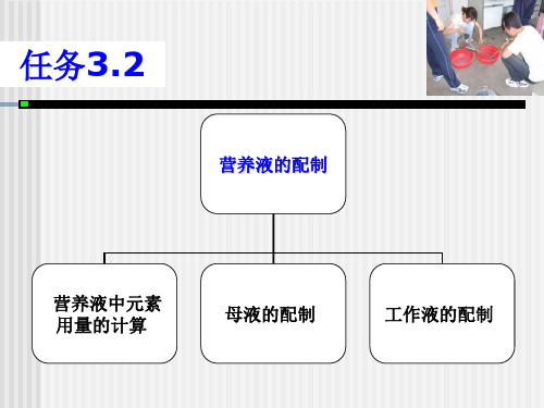 营养液的配制