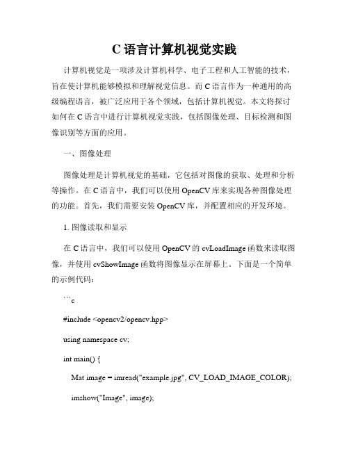 C语言计算机视觉实践