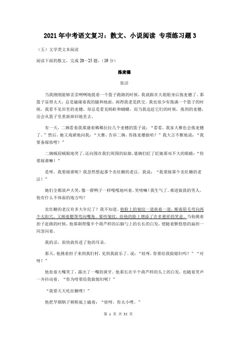 2021年中考语文复习：散文、小说阅读 专项练习题3(含答案)