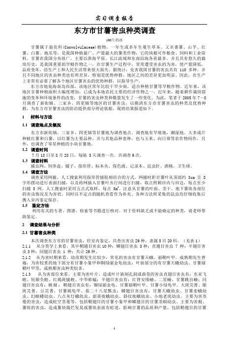 虫害调查报告