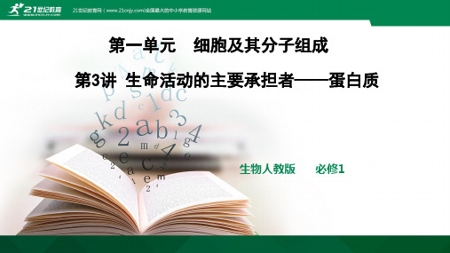 2019年高考生物一轮复习第一单元细胞及其分子组成第3讲生命活动的主要承担者——蛋白质(共24页)