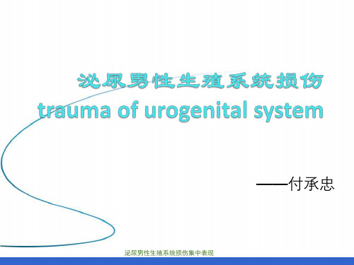 泌尿男性生殖系统损伤集中表现