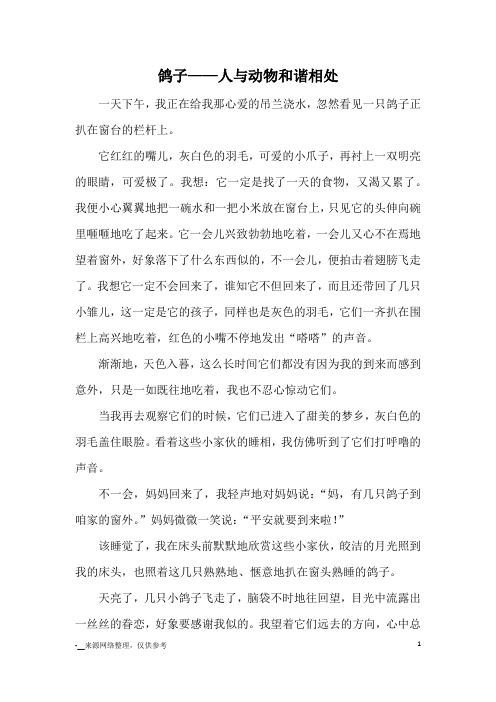 鸽子——人与动物和谐相处_小学五六年级记事