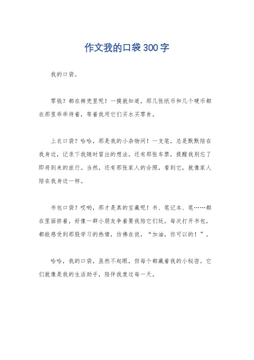 作文我的口袋300字
