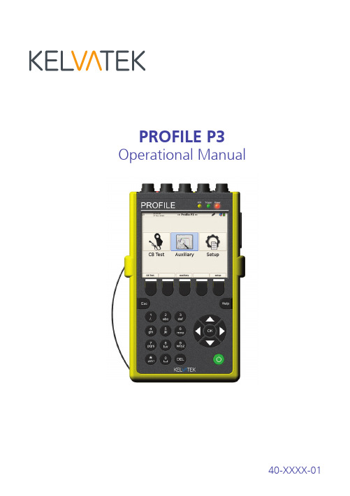 Profile_P3_Manual