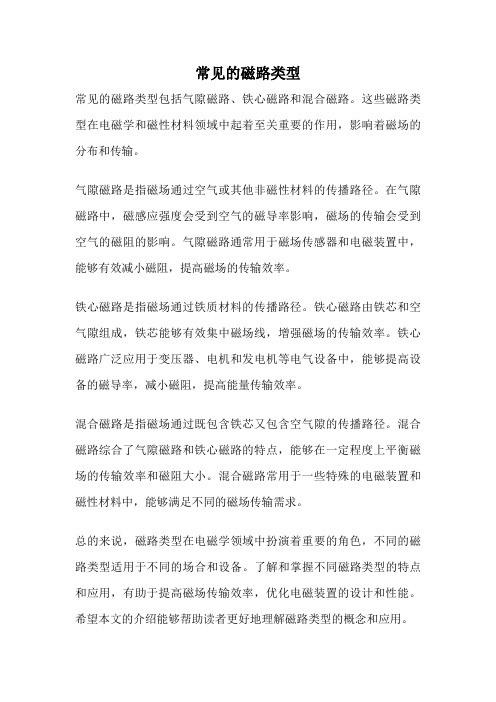 常见的磁路类型