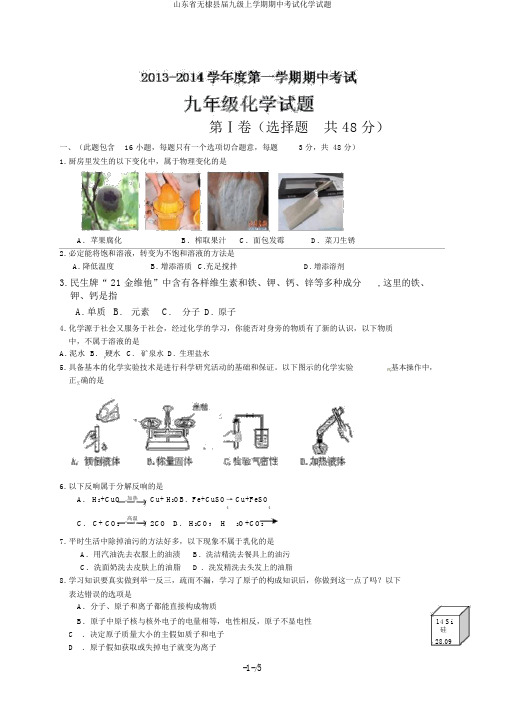 山东省无棣县届九级上学期期中考试化学试题