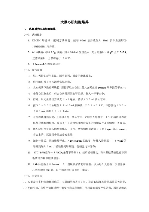 乳鼠心肌细胞培养