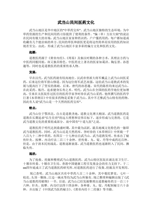 武当山民间医药文化