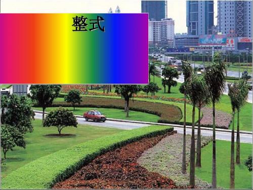 整式1(北师大课标)最新版