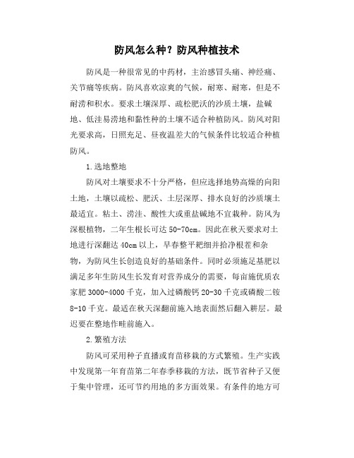 防风怎么种？防风种植技术