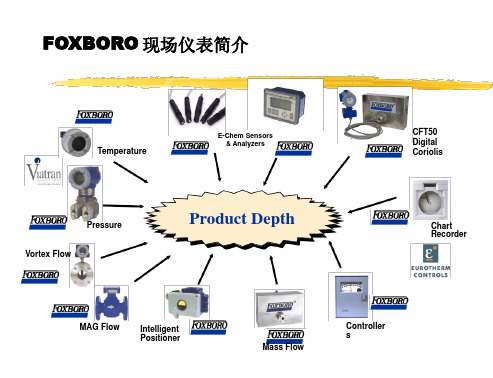 德国福克斯波罗系列仪表