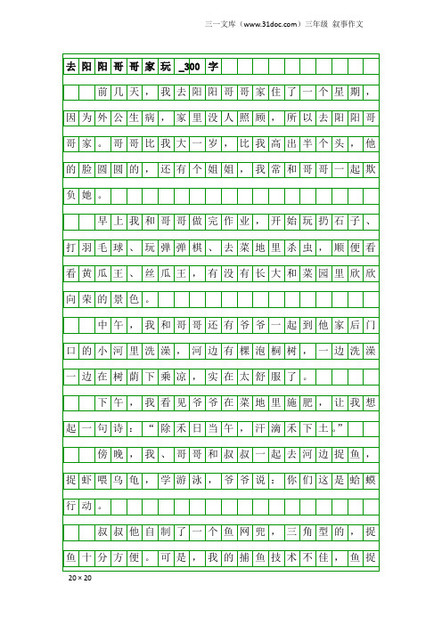 三年级叙事作文：去阳阳哥哥家玩_300字