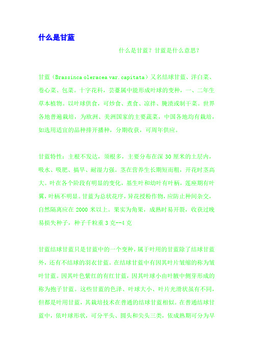 什么是甘蓝