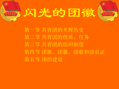 共青团的简介