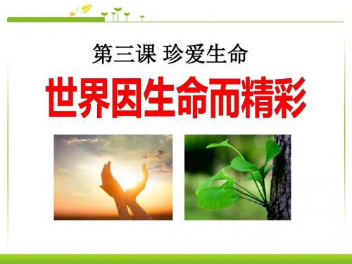 《世界因生命而精彩》珍爱生命PPT课件2
