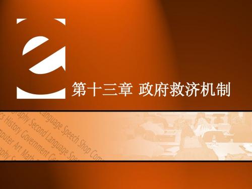 13第十三章 政府采购救济机制