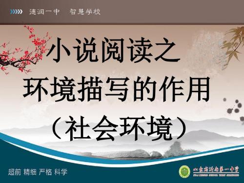 社会环境  课件