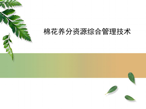 棉花养分资源综合管理技术