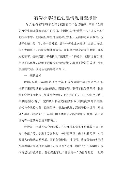 xx小学特色项目自查报告