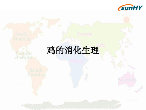 鸡的消化生理ppt课件