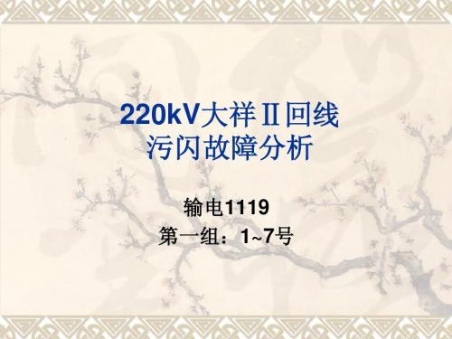 输电线路污闪案例分析报告