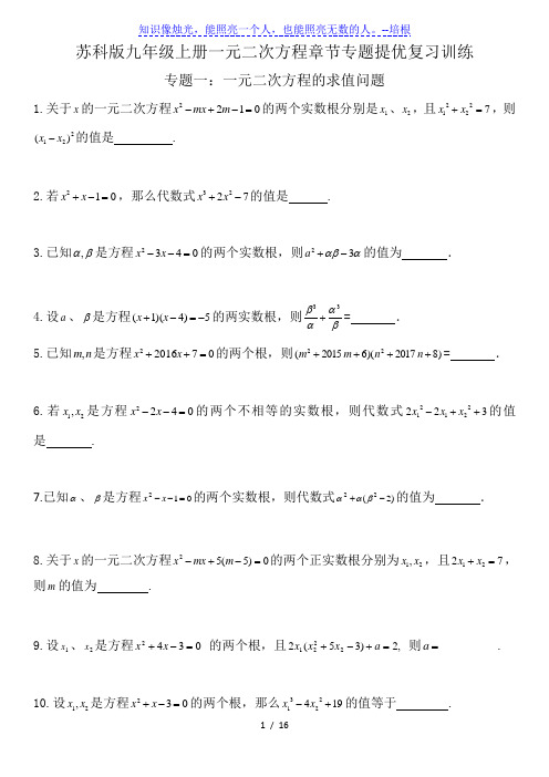 苏科版九年级上册 第1章  一元二次方程  专题提优复习训练(含答案)