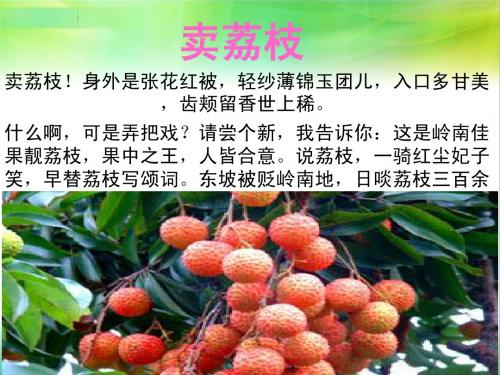 粤剧Microsoft PowerPoint 幻灯片
