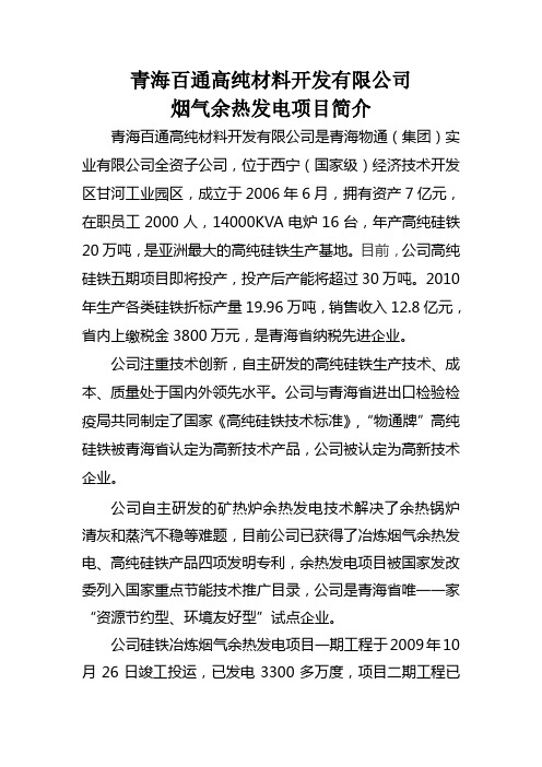 青海百通高纯材料开发有限公司余热发电项目简介