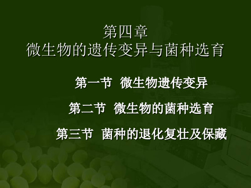 第四章微生物的遗传变异与菌种选育ppt课件