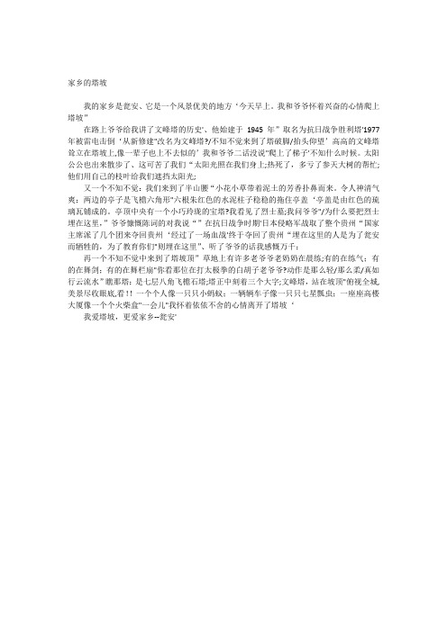 家乡的塔坡