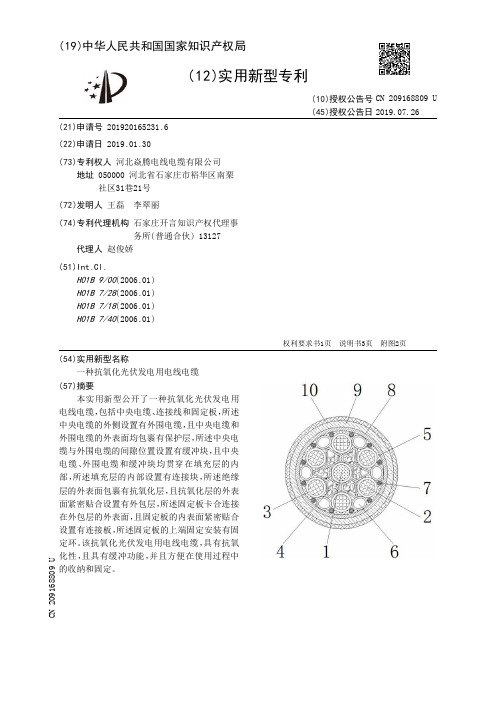 【CN209168809U】一种抗氧化光伏发电用电线电缆【专利】
