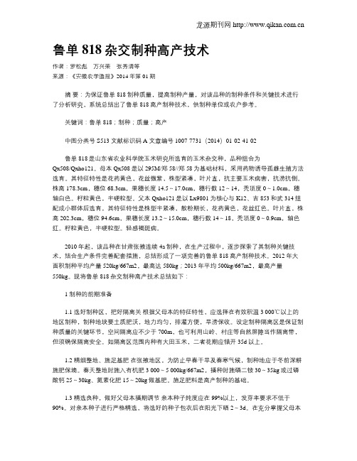 鲁单818杂交制种高产技术