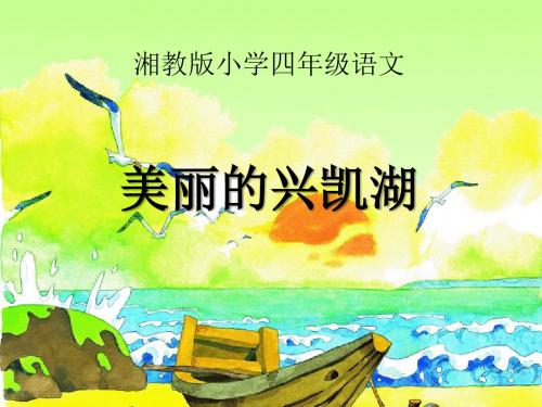 《美丽的兴凯湖》PPT课件4