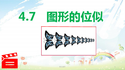 九年级数学上册 第四章 相似三角形 4.7 图形的位似课件 (新版)浙教版