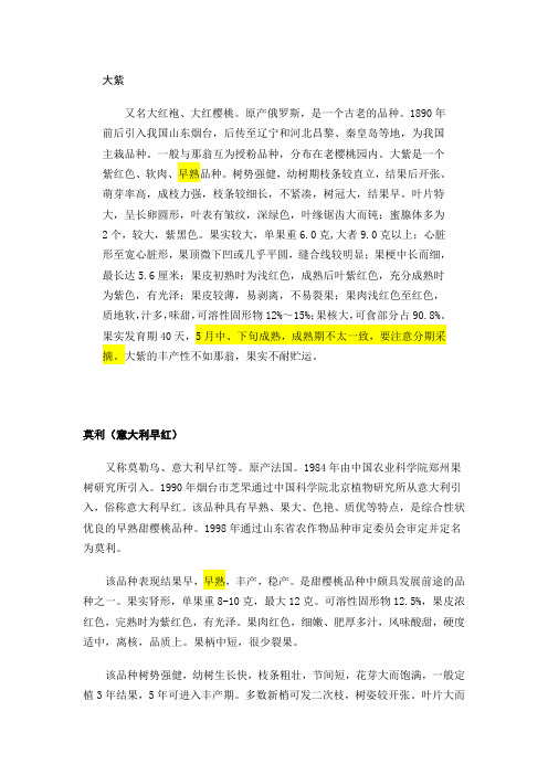 大樱桃品种